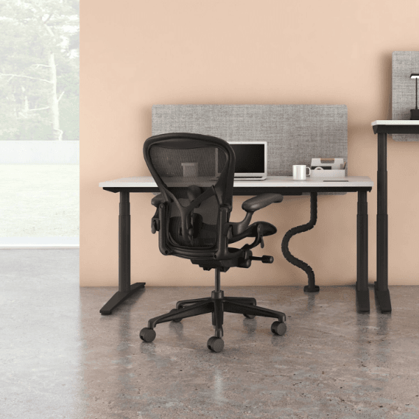 Herman Miller Aeron Chair in Graphite, Size C