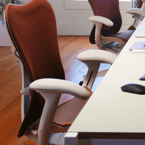 Herman Miller Mirra 2 Chair in Alpine and Cordovan