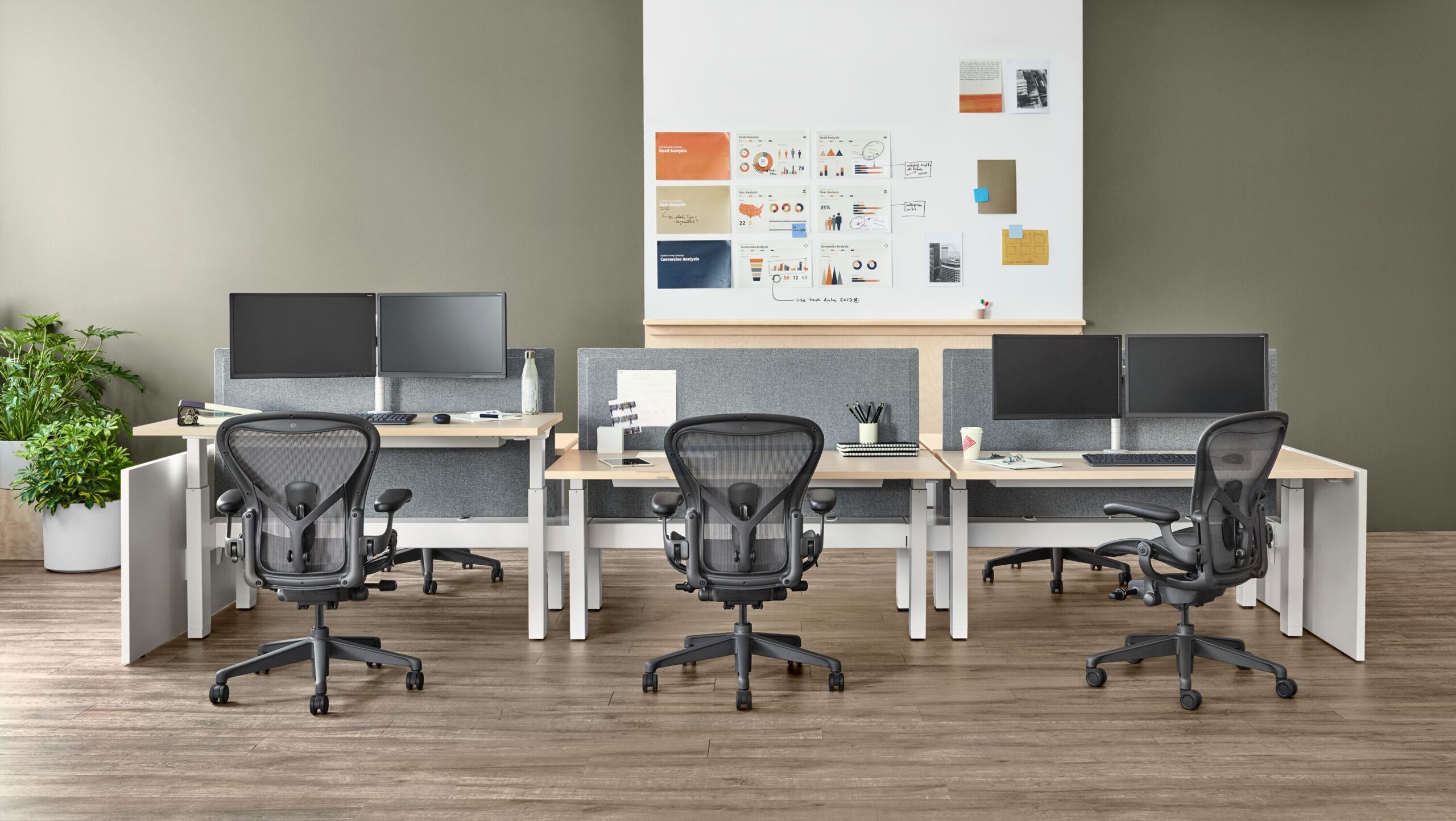 Herman Miller Aeron chairs at sit-stand desks in an open office